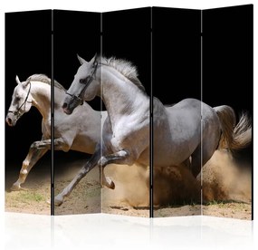 Paravento Galloping horses on the sand II [Room Dividers]