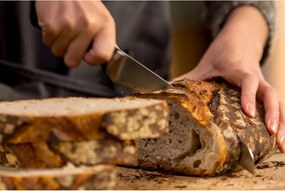 Coltello in acciaio inox Ice Force - Tefal