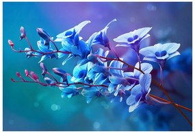 Carta da parati Orchidea blu 104x70 cm