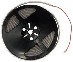 Striscia LED Professional CCT (Bianco Variabile) 2216/240 - IP67 - 18W/m - 5m - 24V Colore Bianco Variabile CCT