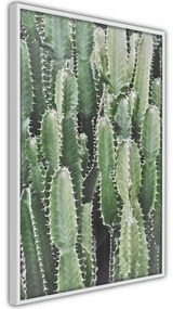 Poster Cactus Plantation