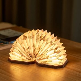 Decorazione luminosa marrone scuro con ricarica USB Velvet Accordion – Gingko