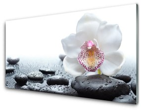 Quadro acrilico Arte dell'orchidea del fiore 100x50 cm
