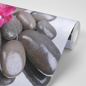 Carta da parati autoadesiva – Orchidea fiorita e pietre wellness