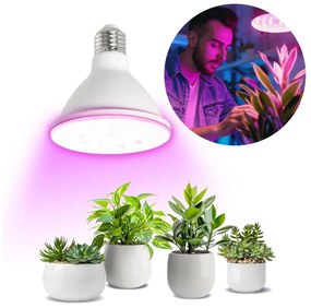 LED Lampadina per la crescita delle piante PLANTY E27/9W/230V 1200K bianco