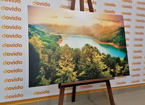 Stampa su tela – Fiume nel mezzo della foresta verde