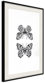 Poster  Butterfly Collection I  Cornice Quadri Cornice nera con pass-partout, Larghezza x Altezza Home decor 20x30