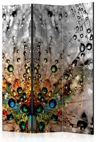 Paravento Enchanted Morning Dew [Room Dividers]