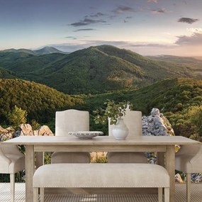 Carta da parati – Natura illuminata dal sole