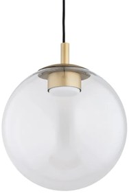 Argon 8828 - Lampadario a sospensione con filo SACRAMENTO 1xGX53/8W/230V limpido/oro