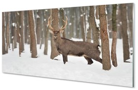 Quadro acrilico Foresta invernale Jeleń 100x50 cm