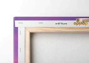 Quadro su tela – Donna con vista sul Colosseo
