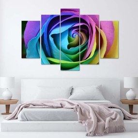 Quadro su tela 5 pannelli Fiore di rosa colorato  Dimensioni 100x70