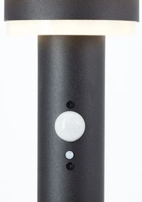 Brilliant - Lampada solare LED con sensore GARVINA LED/3W/3,7V 85 cm IP44 nero