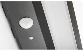 Rabalux 77023 - Luce solare a LED con sensore KORANA LED/6W/3,7V IP44