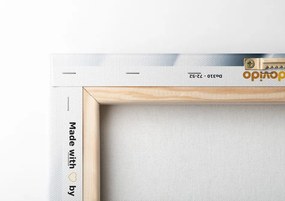 Quadro su tela – Astrazione discreta