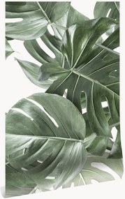 Carta da parati in tessuto non tessuto Monstera