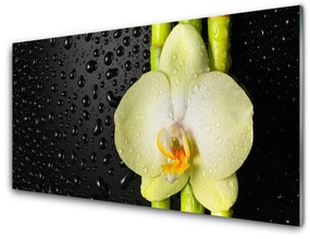 Quadro acrilico Fiori di orchidea di bambù 100x50 cm