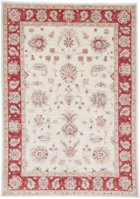 Tappeto orientale 170x240 (Afghanistan) Annodato A Mano