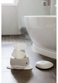 Vasino grigio - Kindsgut