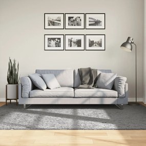 Tappeto Shaggy Pamplona A Pelo Lungo Moderno Grigio 160x230 Cm /