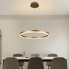 Brilagi - Lampadario a sospensione con filo LED dimmerabile CIRCLE LED/42W/230V 3000-6500K + +TC