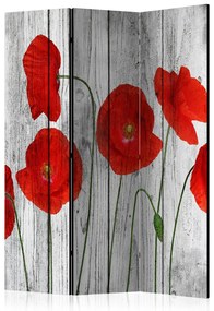 Paravento design Storia papaveri (3-parti) - fiori di campo su legno