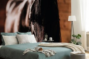 Carta da parati – Cavallo maestoso