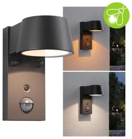 Paulmann 94714 - LED/6W IP44 Applique da esterno con sensore CAPERA 230V