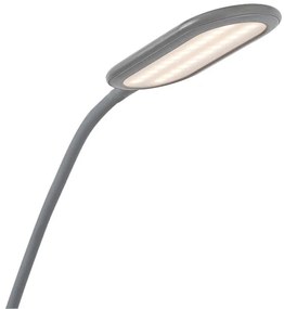 Rabalux 74010 - LED Dimmerabile touch lampada con piedistallo ADELMO LED/10W/230V grigio