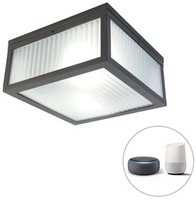Lampada da soffitto per esterni intelligente nera con vetro nervato incl. Wifi A60 - Charlois