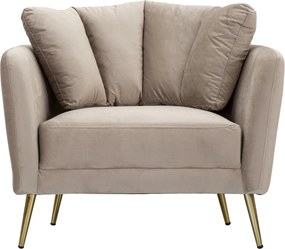 Poltrona grigio tortora con poggioli/con gambe con rivestimento in velluto Kiev – Mauro Ferretti