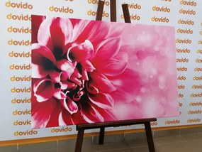 Stampa su tela – Fiore rosa