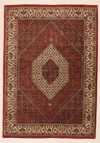 Bidjar Tappeto 250x170 (Iran) Annodato A Mano