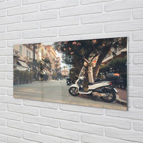 Rivestimento parete cucina Città estiva delle palme delle motociclette 100x50 cm
