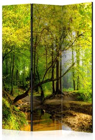 Paravento Radura nel bosco - paesaggio autunnale con foglie gialle e acqua