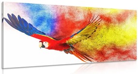 Stampa su tela – Volo di pappagallo