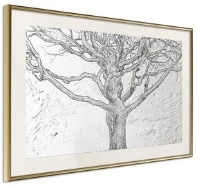 Poster  Tangled Branches  Cornice Quadri Cornice d'oro con passe-partout, Larghezza x Altezza Home decor 30x20