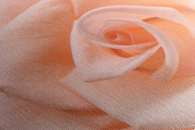 Quadro su tela – Rose in tonalità pesca