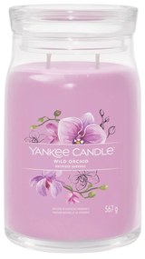 Wild Orchid, candela in giara grande Yankee Candle