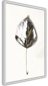 Poster Silvery Leaf