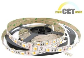 Bobina Striscia Strip Led CCT 300 SMD 5050 WWR 12V Bianco Caldo Neutro Freddo Tutto In Uno Da 2700K A 10000K 5 Metri IP20