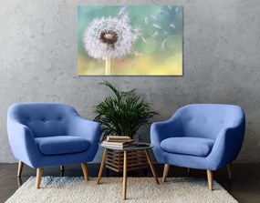 Stampa su tela – Soffione magico