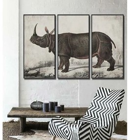 Quadro DKD Home Decor Coloniale Rinoceronte (180 x 4 x 120 cm)