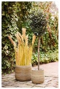 Set di cesti in rattan 2 pz ø 39x35 cm Moro – House Nordic