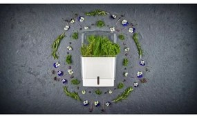 Cole&Mason - Contenitore per conservare le erbe aromatiche appena tagliate