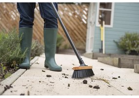 Elementi essenziali della scopa nera - Addis