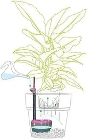 Acquaflora mini 0,7lt x vasi 25/35