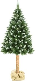 Albero di Natale su tronco 180 cm pino