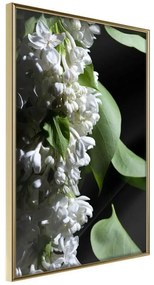 Poster  Fragrant Spring  Cornice Quadri Cornice d'oro, Larghezza x Altezza Home decor 20x30